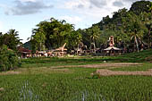 Ke'te Kesu - rice fields