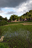 Ke'te Kesu - rice fields