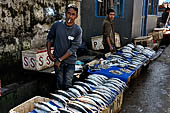 The market of Makale - stalls selling local produce including coffee, tobacco, buckets of live eels, piles of fresh and dried fish, and jugs of  'balok'