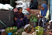 The market of Makale - stalls selling local produce including coffee, tobacco, buckets of live eels, piles of fresh and dried fish, and jugs of  'balok'