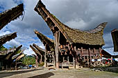 Pallawa - Traditional tongkonan house.