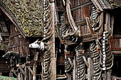 Pallawa - Traditional tongkonan house. The front of the house usually has a carved buffalo head and a collection of genuine buffalo horns.