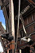 Pallawa - Traditional tongkonan house. The front of the house usually has a carved buffalo head and a collection of genuine buffalo horns.