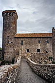 Campo all'oasi di Burano (Aprile 1995). Passeggiata alla rocca di Talamone.